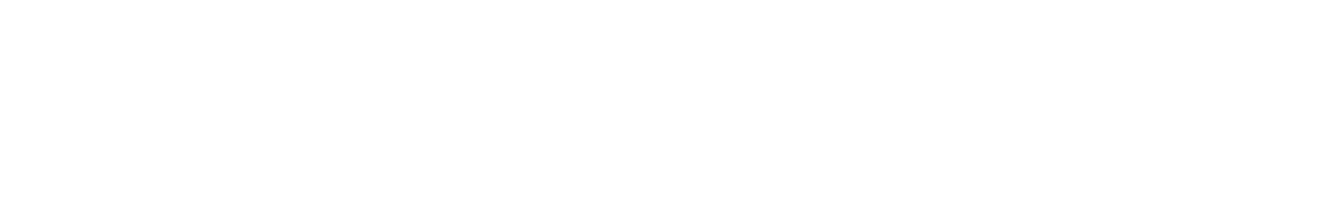 The Wall Street Times Logo